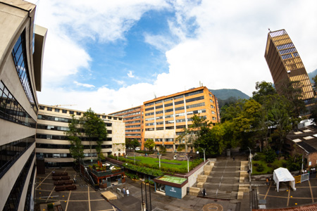 Javeriana ojo de Pez